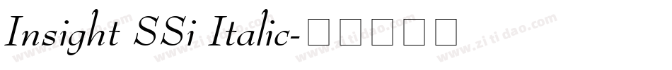 Insight SSi Italic字体转换